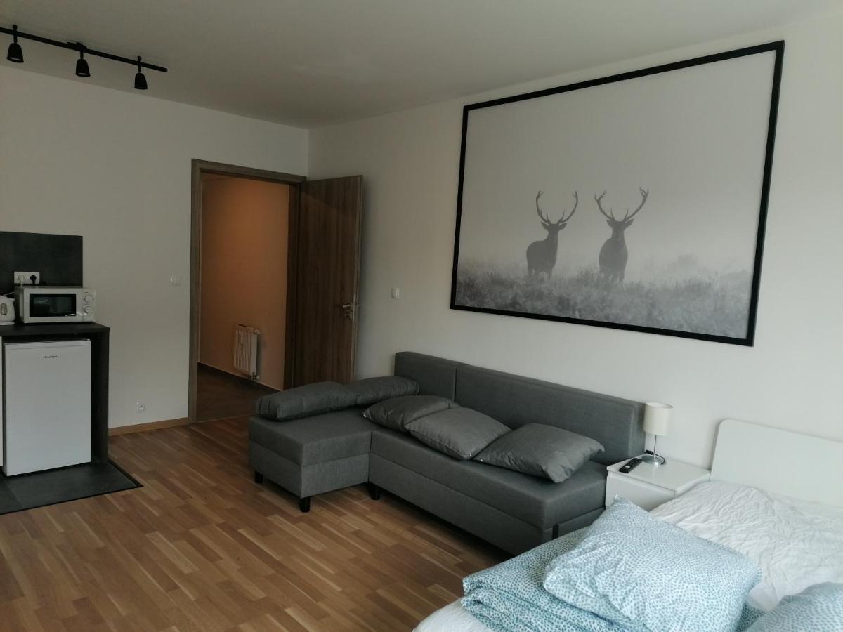 Brand New Studio Apartment #51 With Free Secure Parking In The Center Прага Екстериор снимка