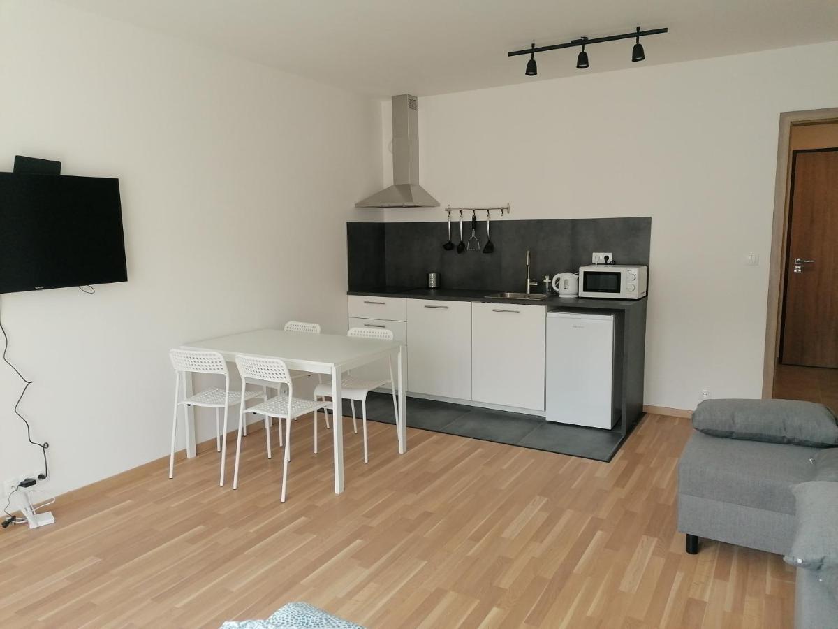 Brand New Studio Apartment #51 With Free Secure Parking In The Center Прага Екстериор снимка